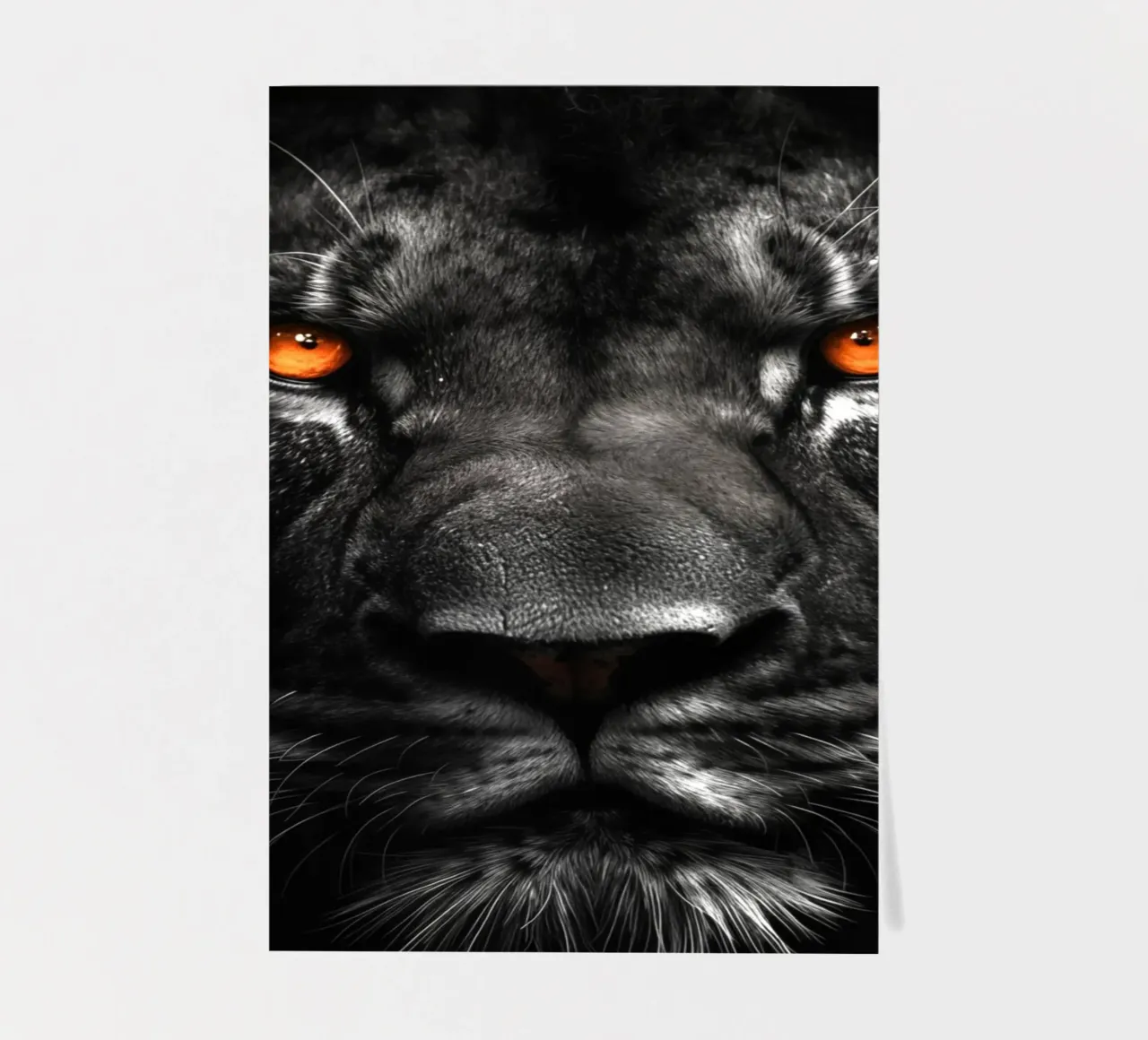 Lion animal art sticker sheet by Justyna Jaszke JBJart