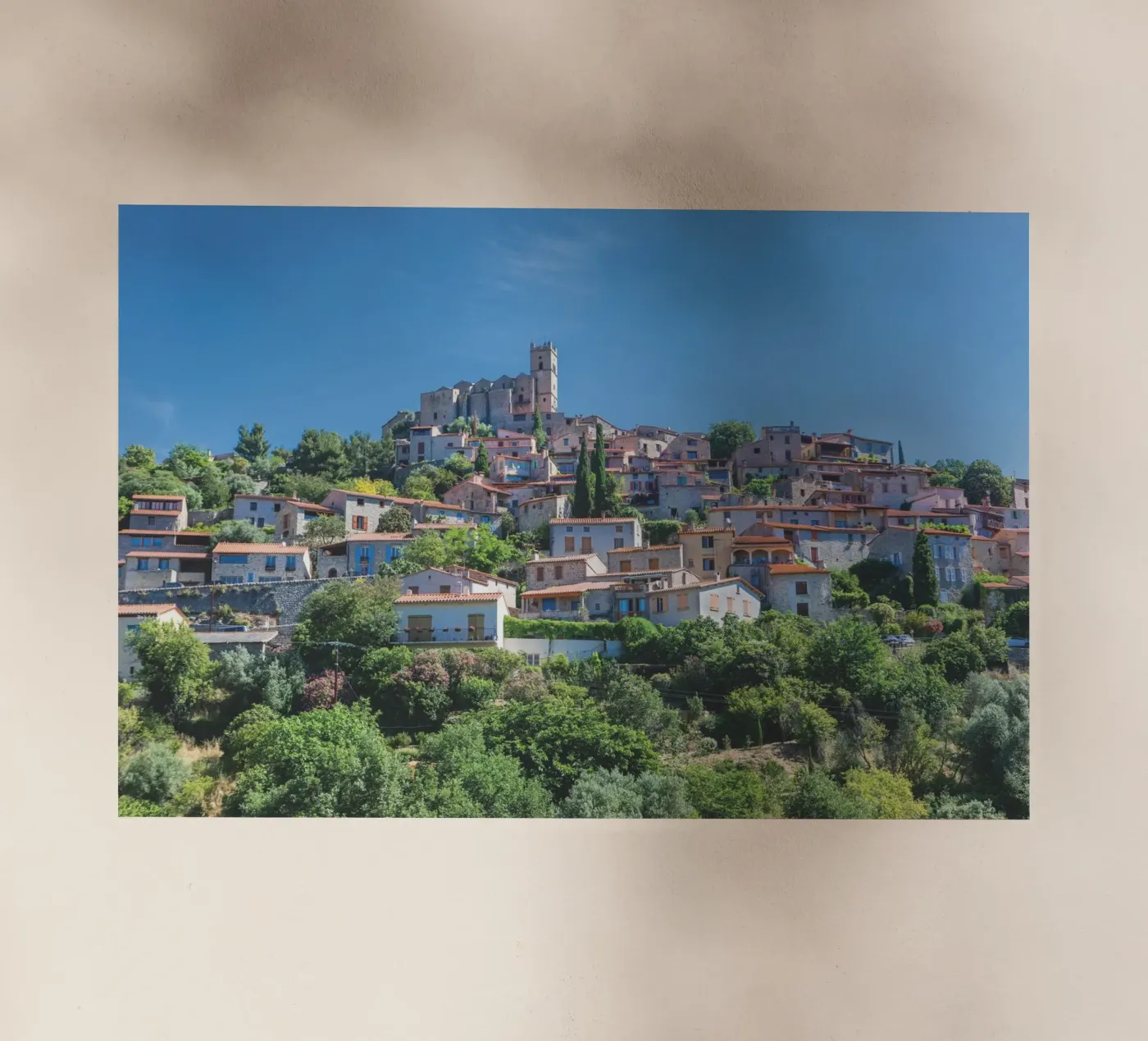 Eus Backlit Folie von Dave Hare Photography