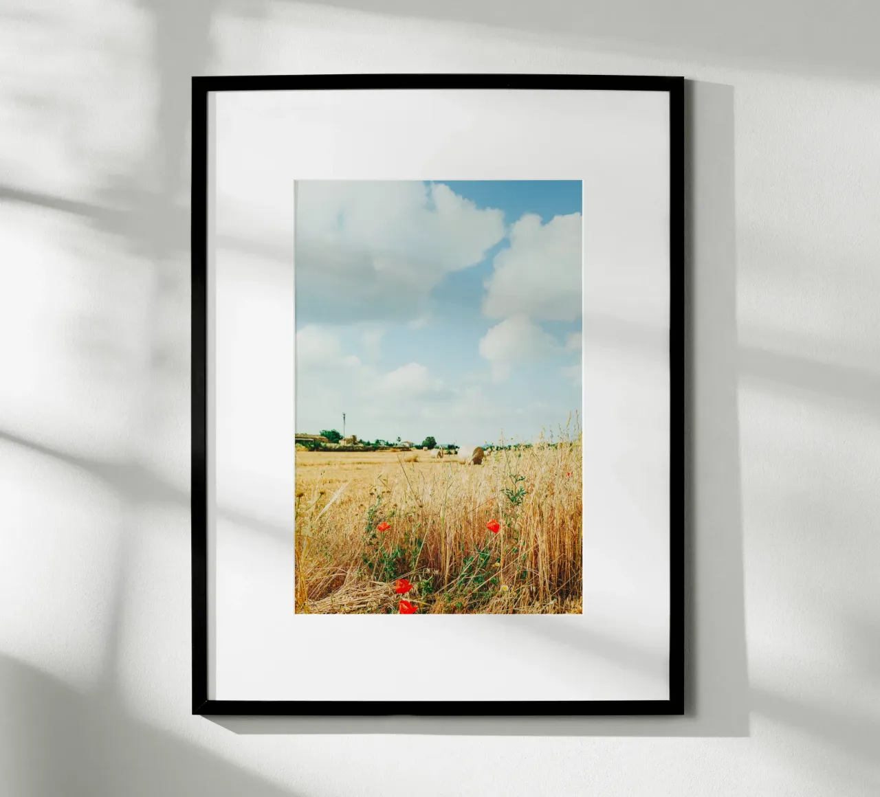 Summer field on Mallorca - hay bales and poppies poster by Bold and Retro