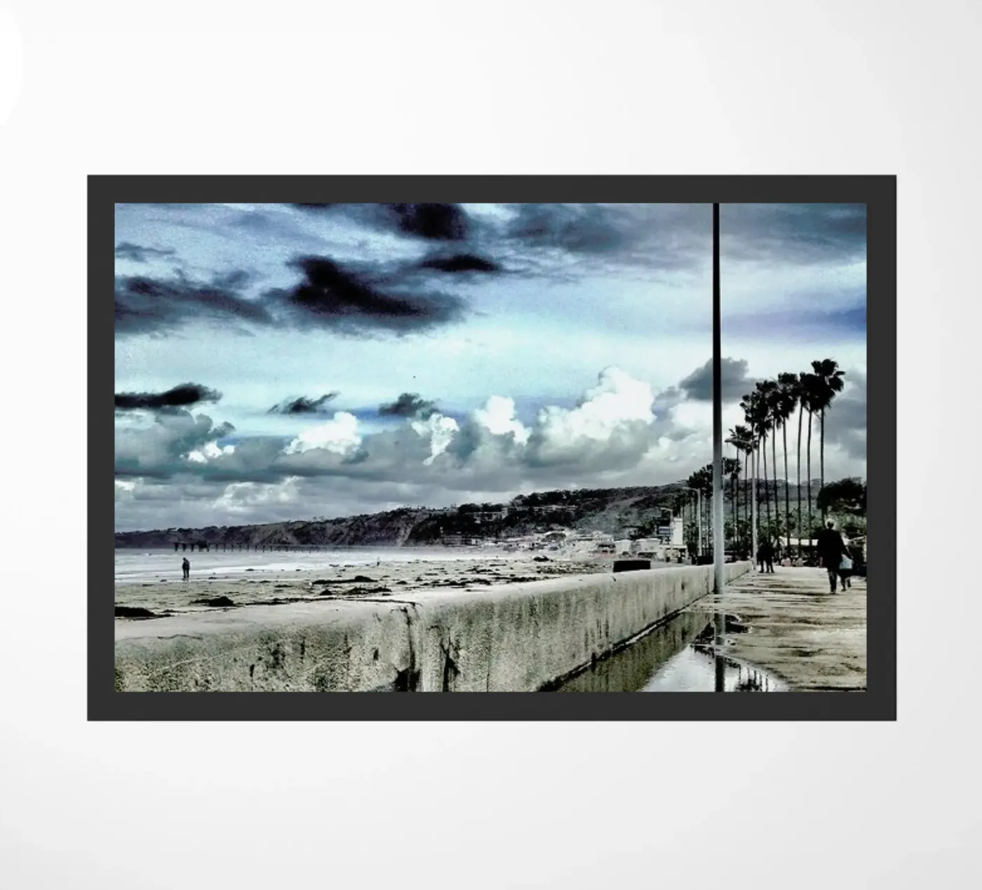 The Pacific zerbino da Sattrup & Høst