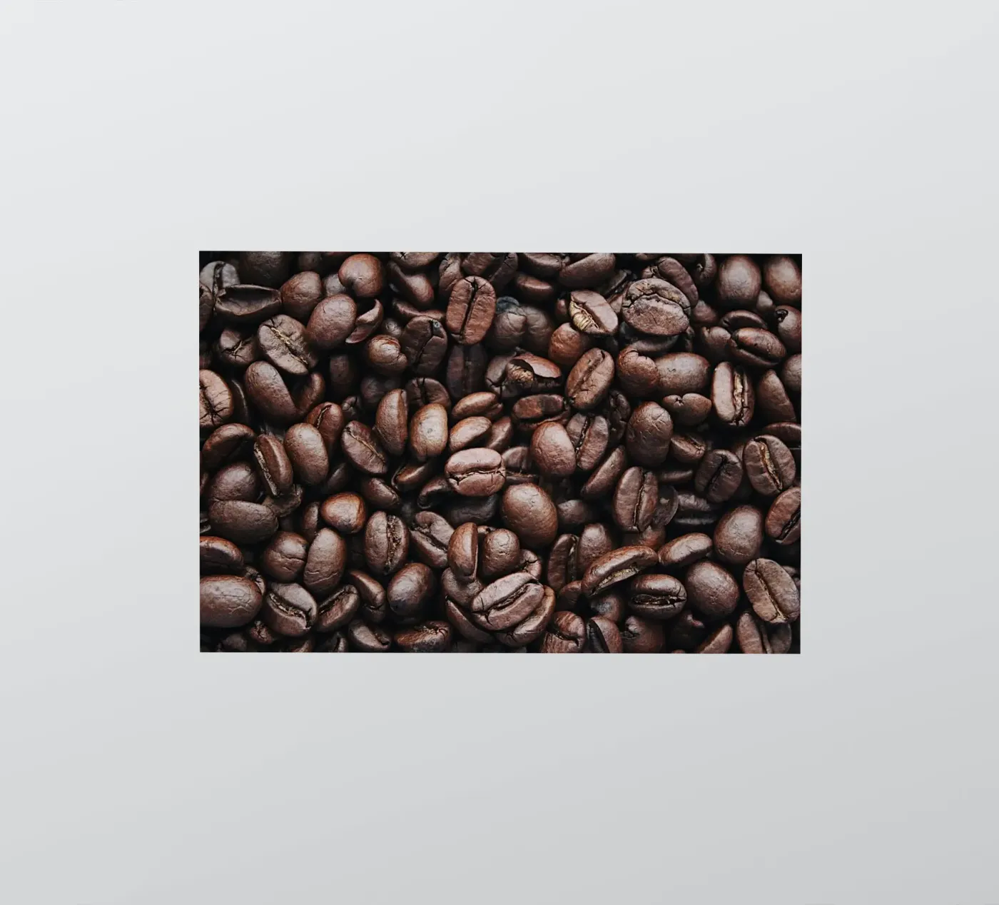 Kaffee sticker by Alina