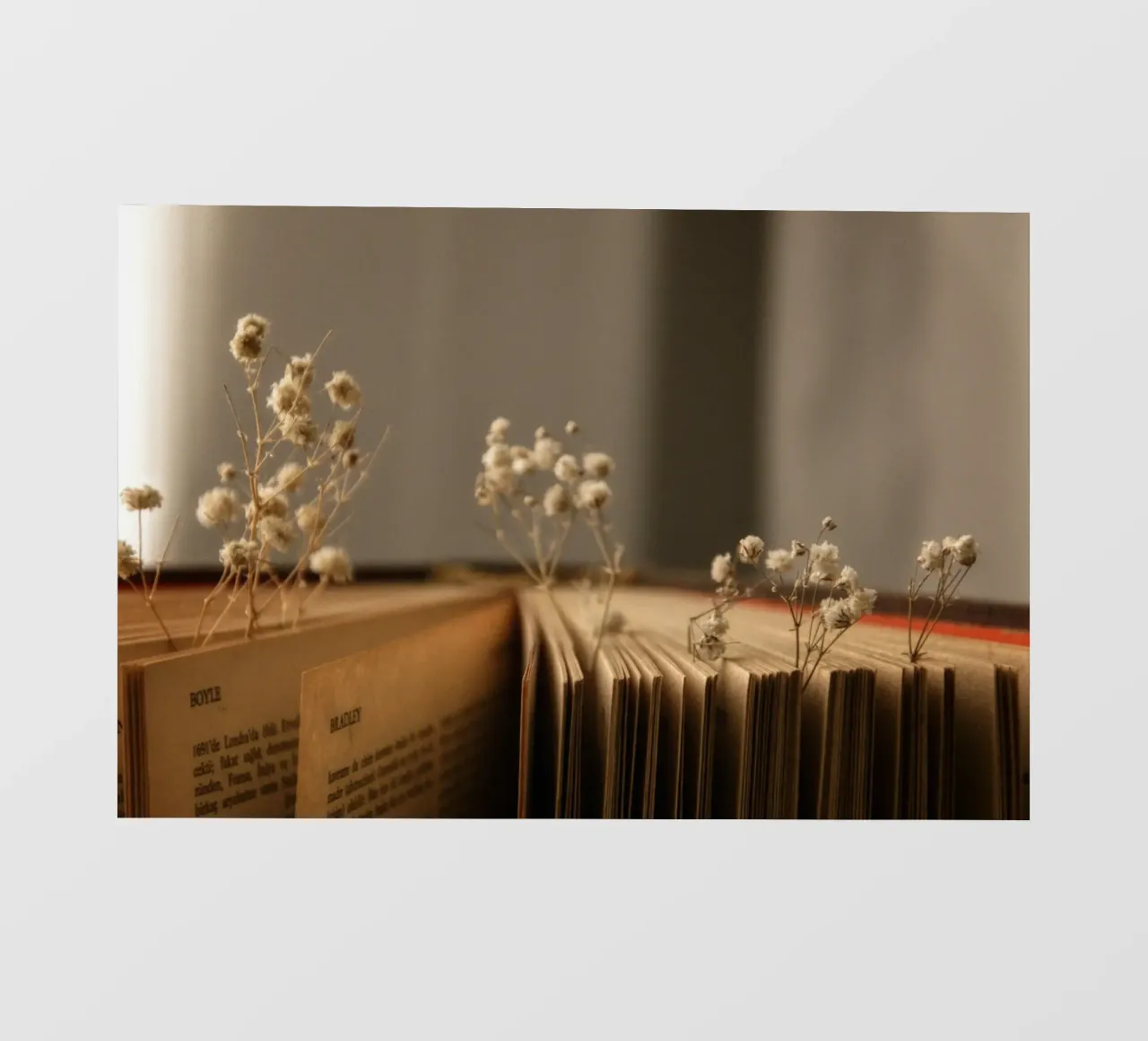 Buch pellicola backlit da Alina