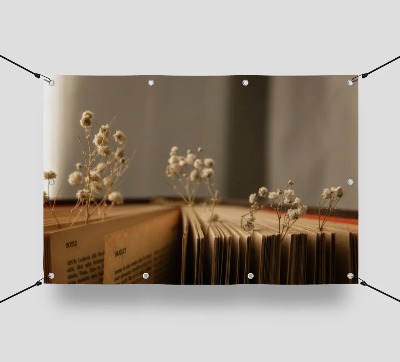 Buch telo in pvc da Alina