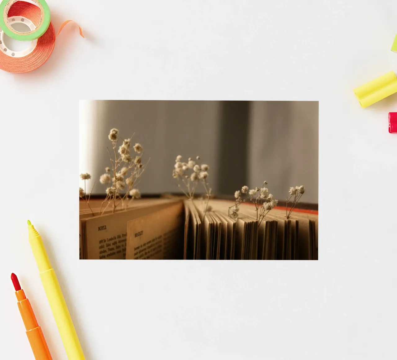 Buch sticker by Alina