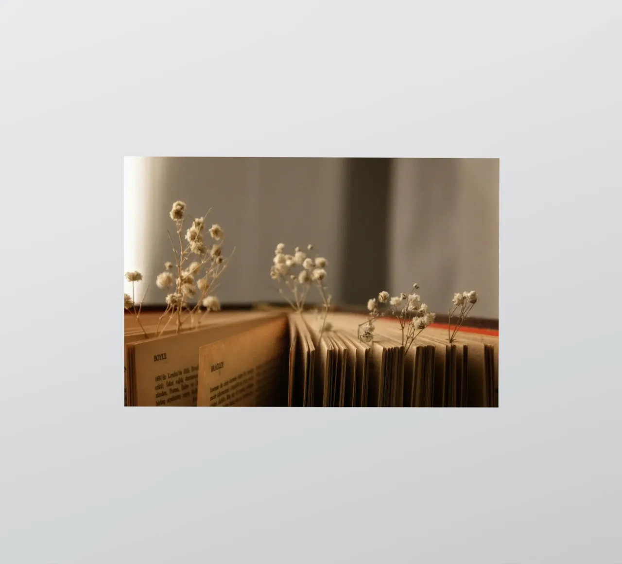 Buch sticker by Alina