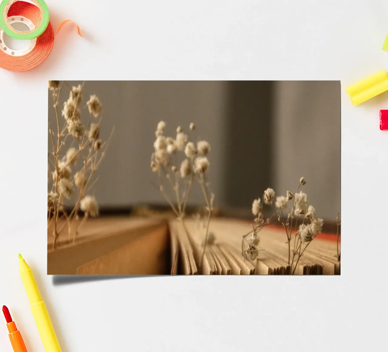 Buch sticker sheet by Alina