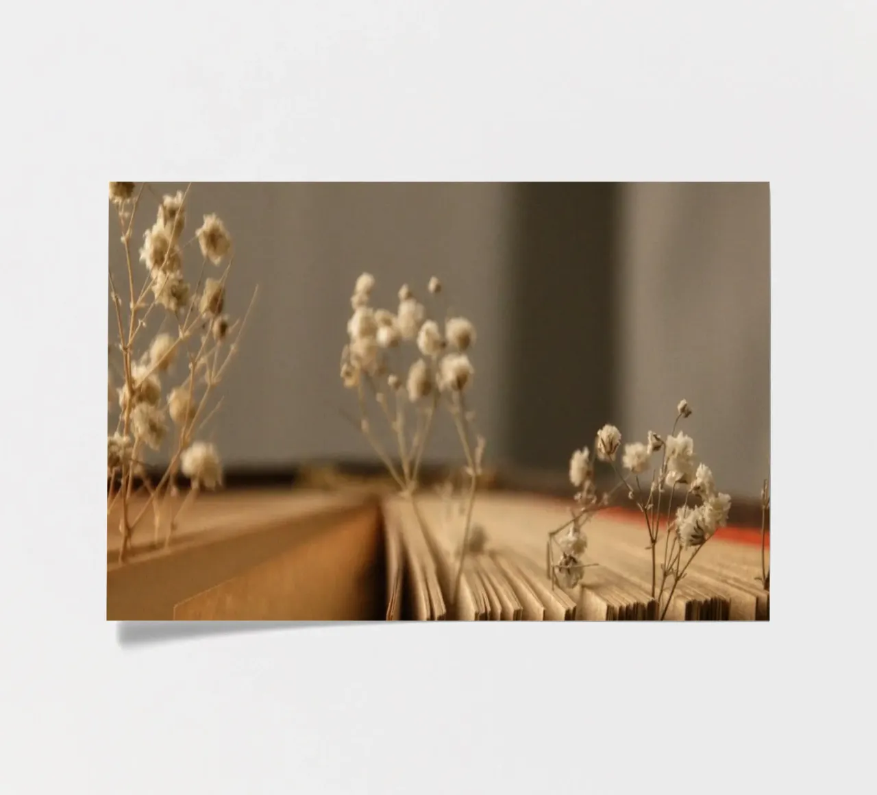 Buch sticker sheet by Alina