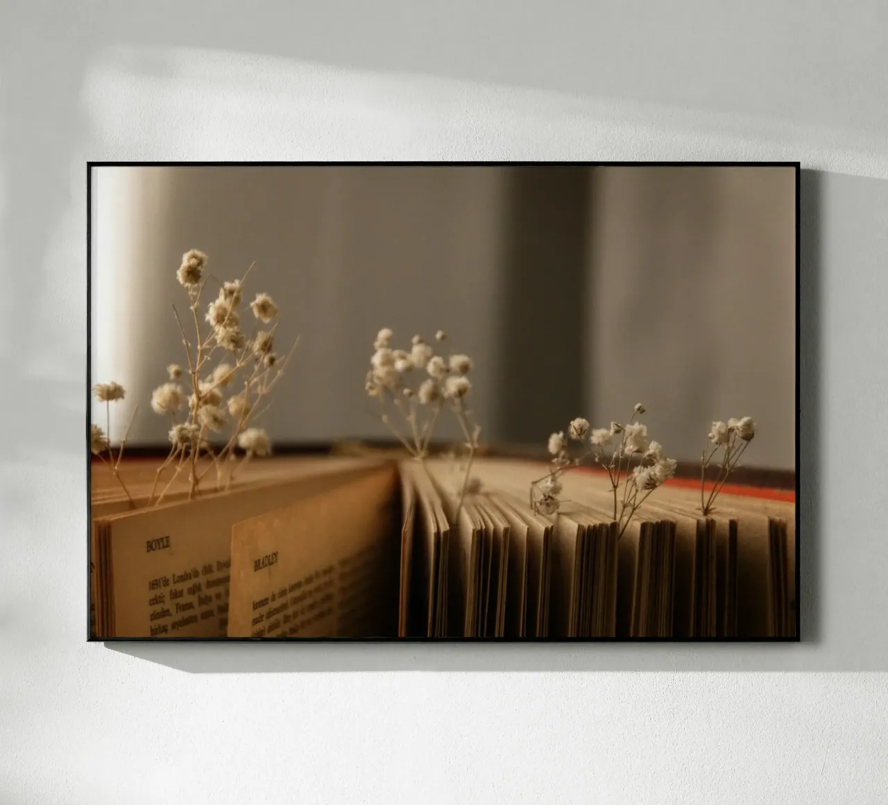 Buch plexiglas de Alina