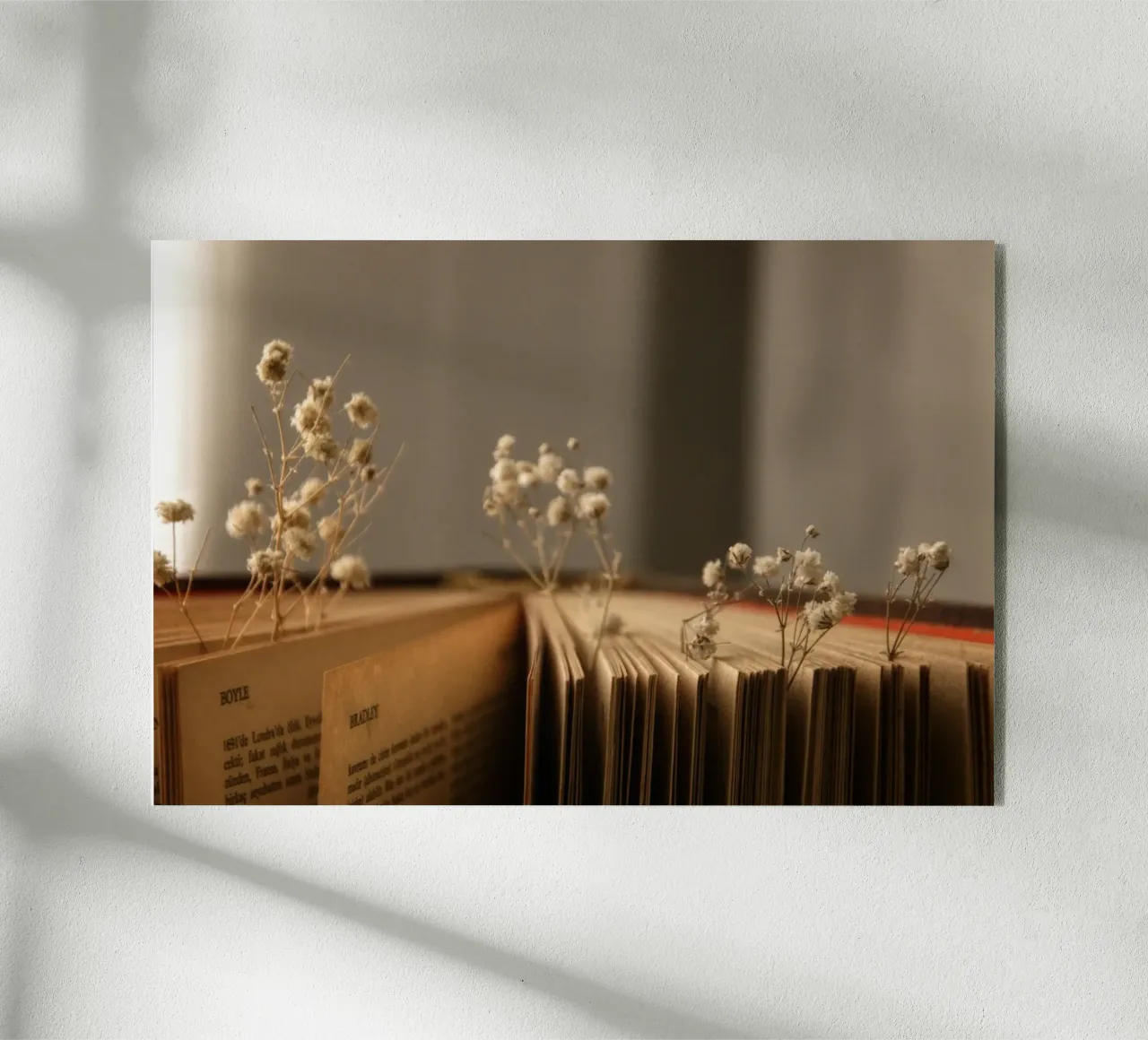 Buch plexiglass da Alina