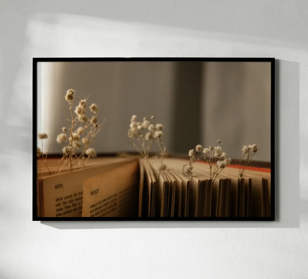 Buch poster van Alina