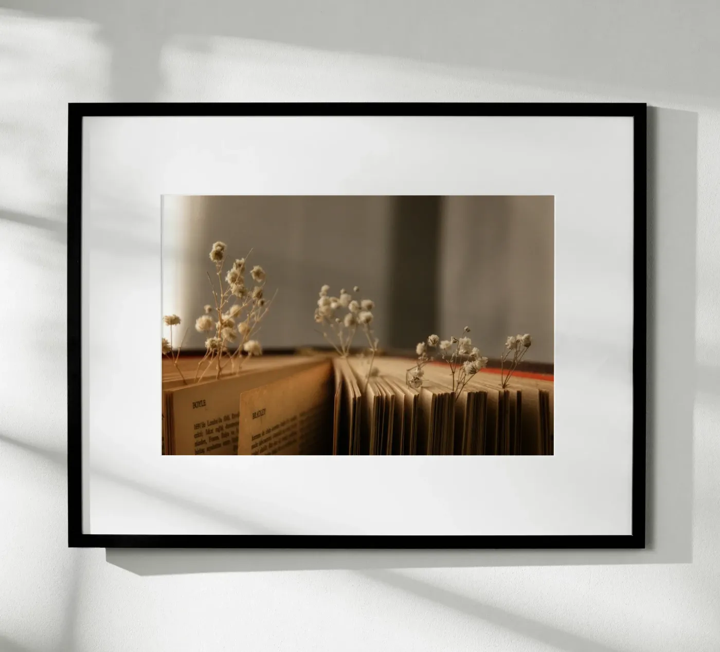 Buch poster de Alina