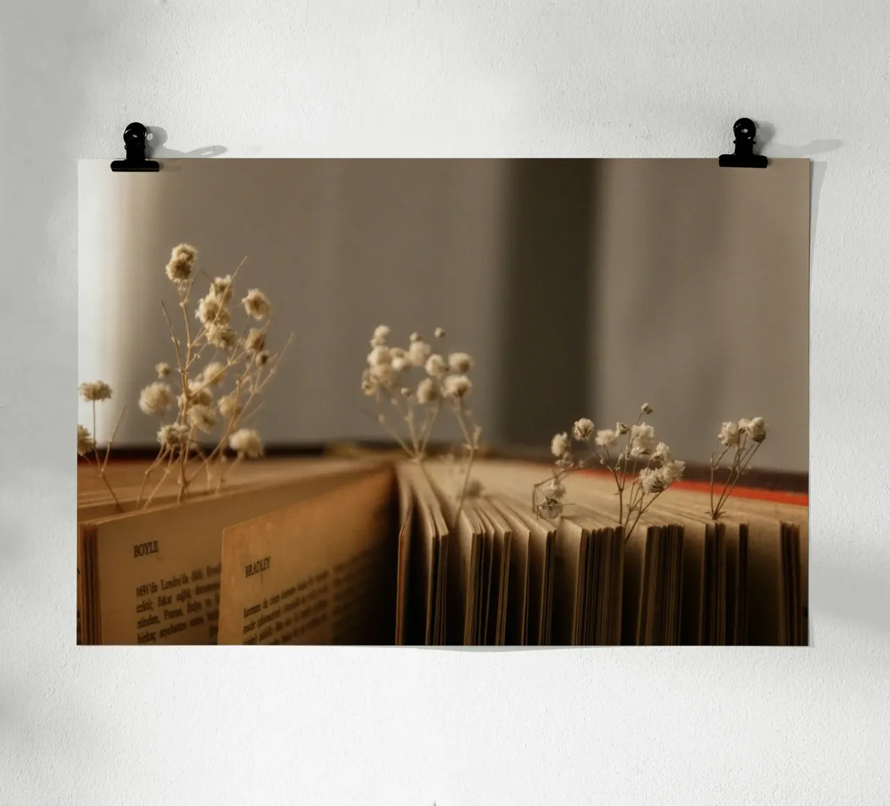 Buch poster van Alina