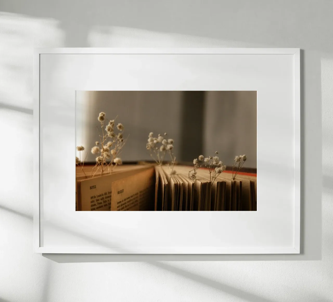 Buch poster van Alina