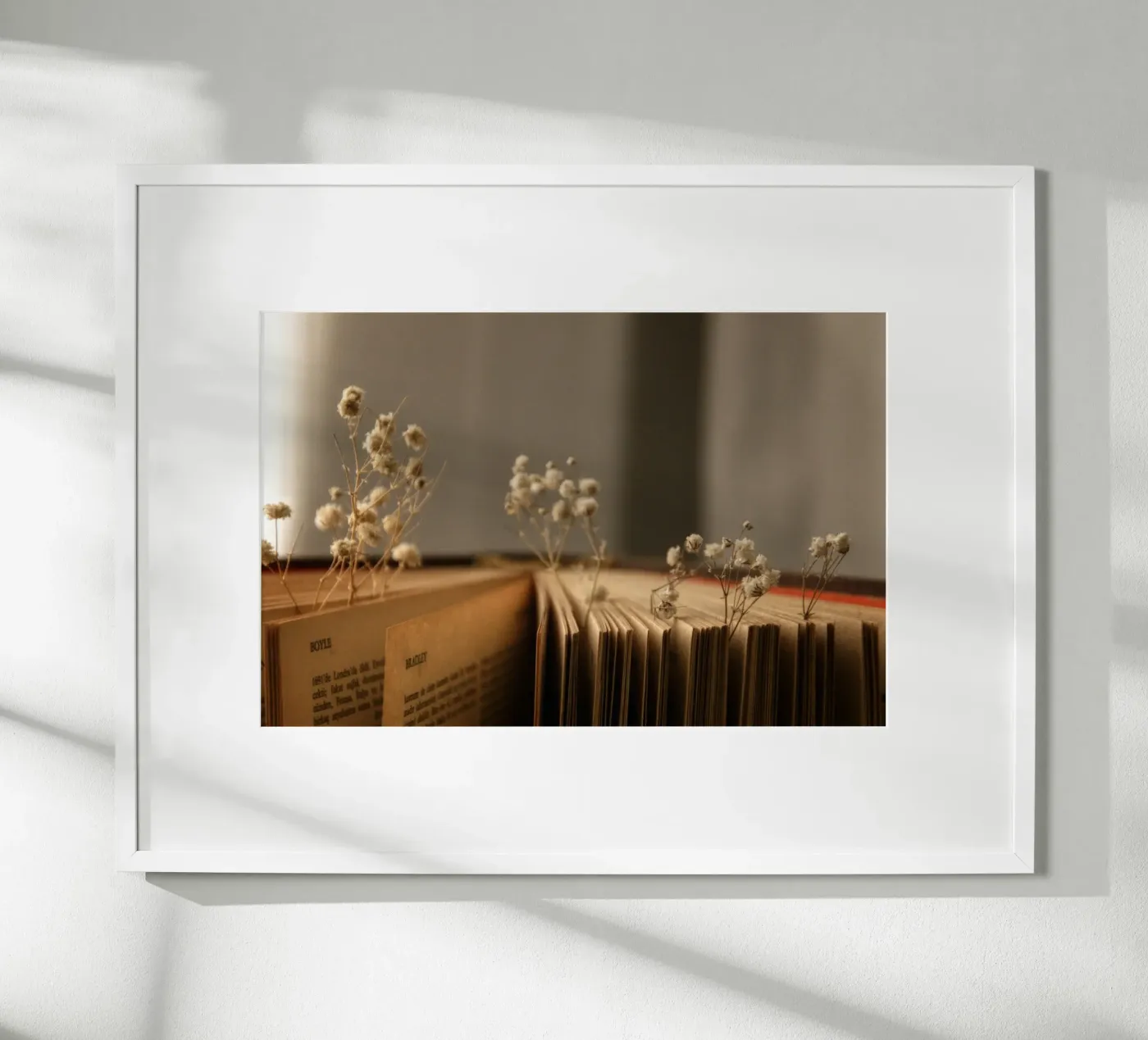 Buch poster de Alina