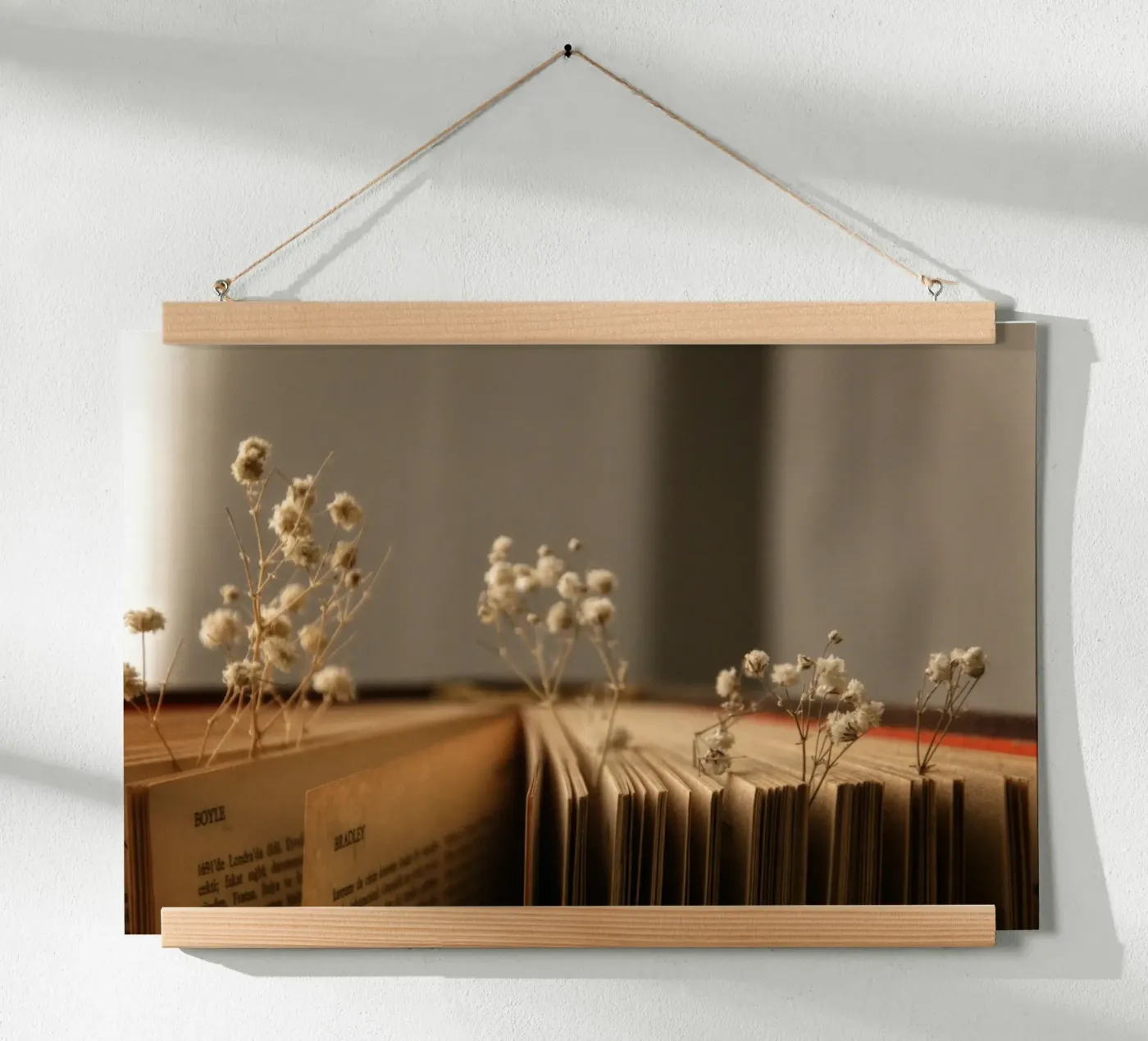 Buch poster de Alina