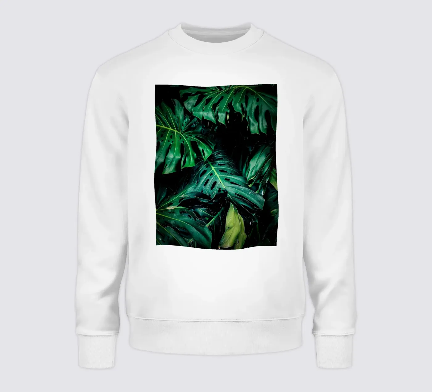 Monstera felpa da Alina