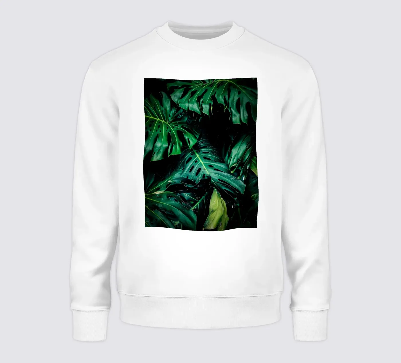 Monstera felpa da Alina