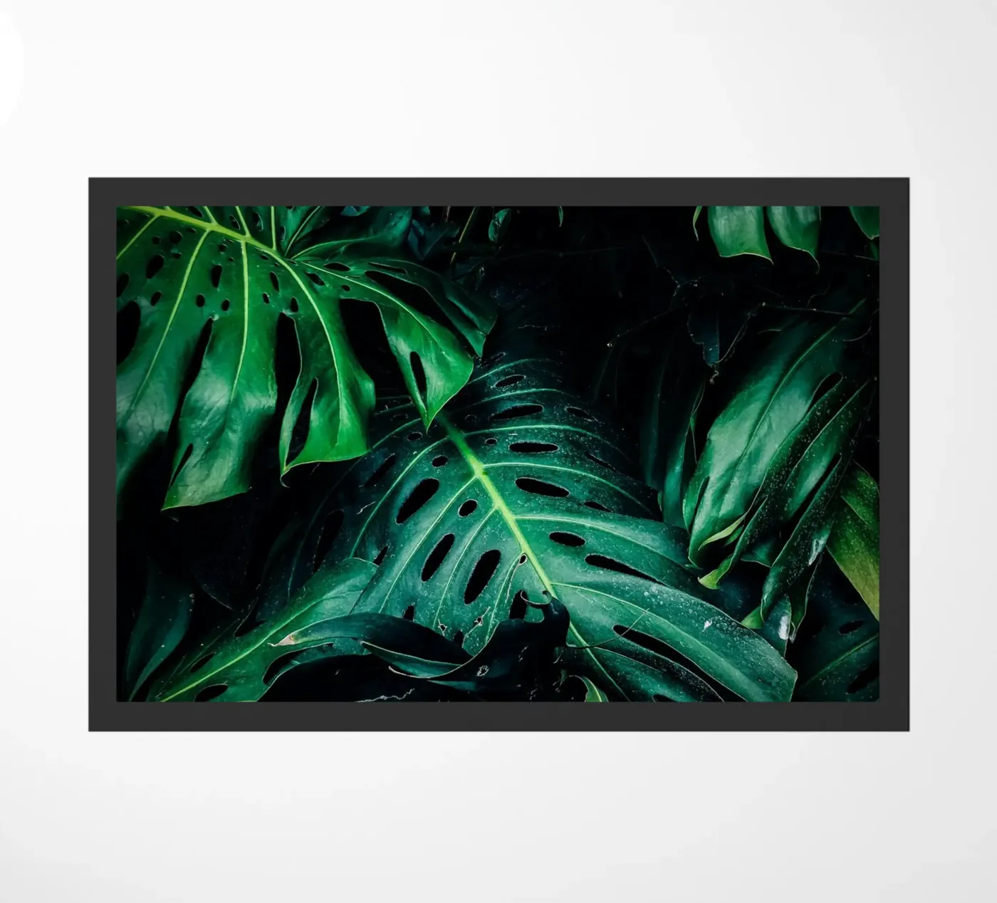 Monstera deurmat van Alina