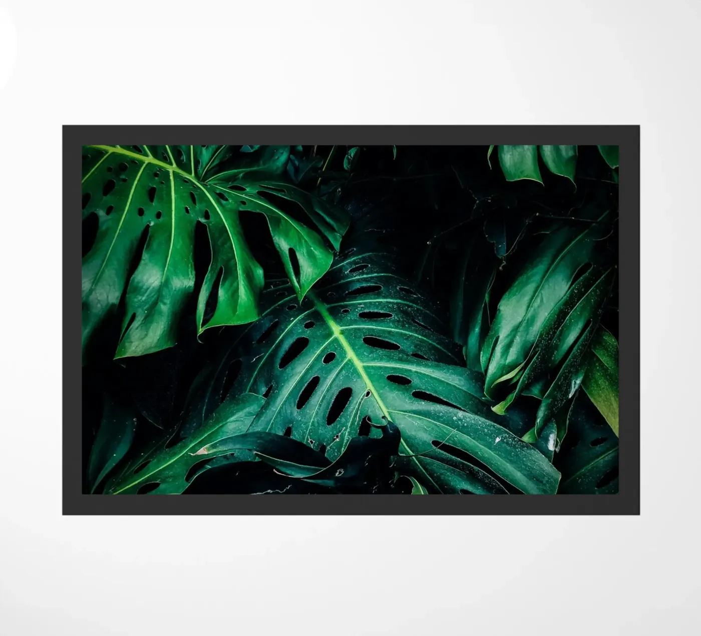 Monstera Fußmatte von Alina