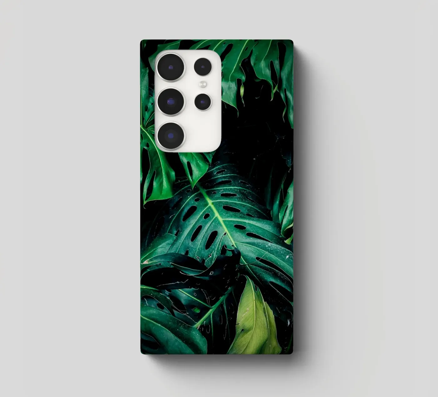 Monstera cover samsung da Alina
