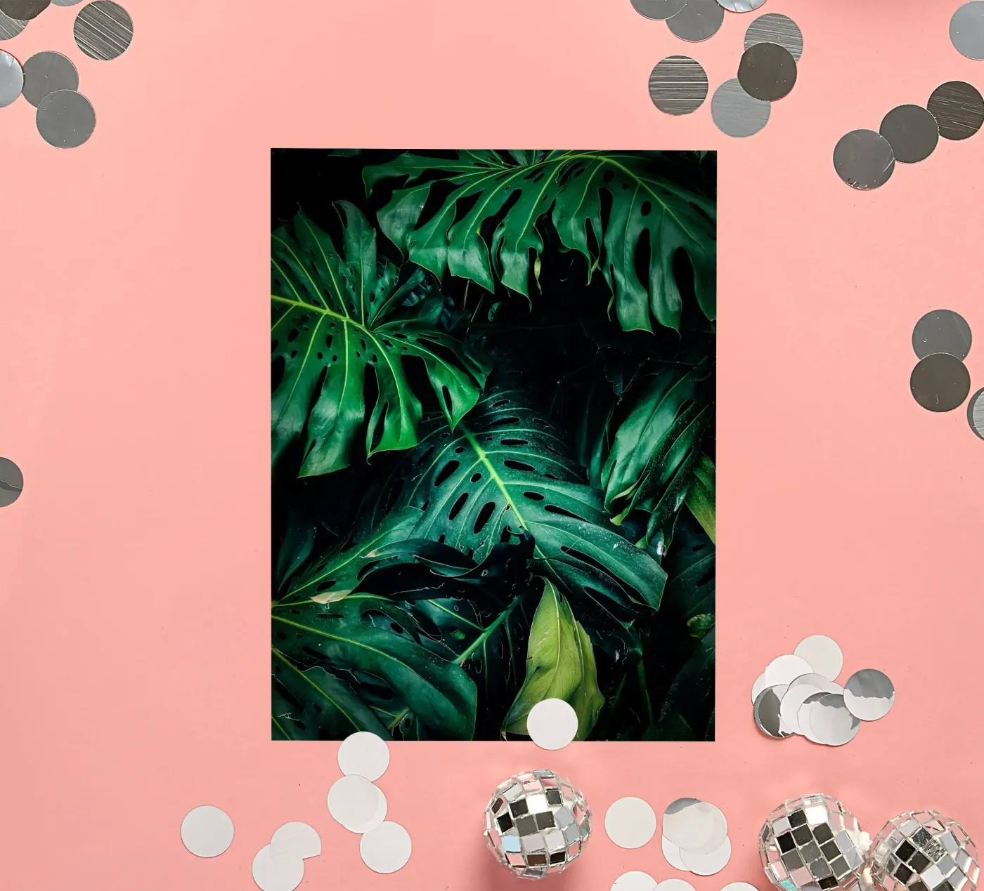 Monstera sticker by Alina