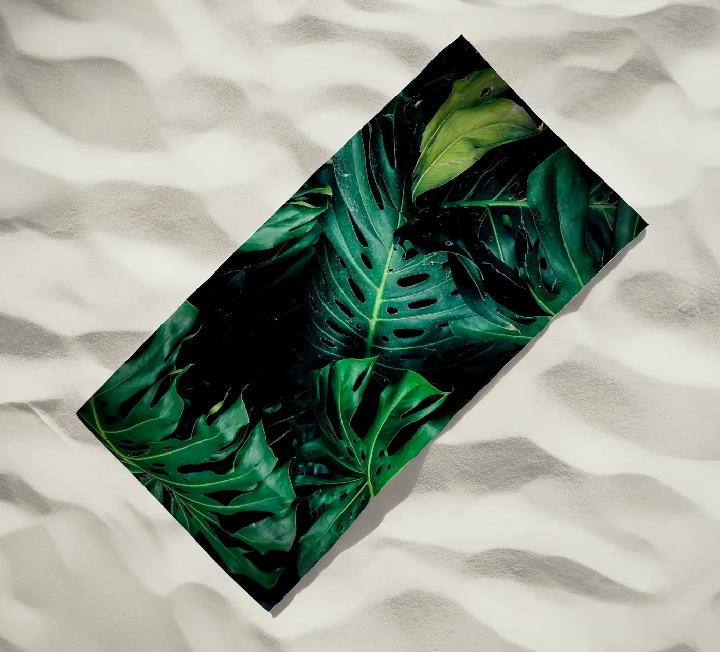 Monstera telo mare da Alina