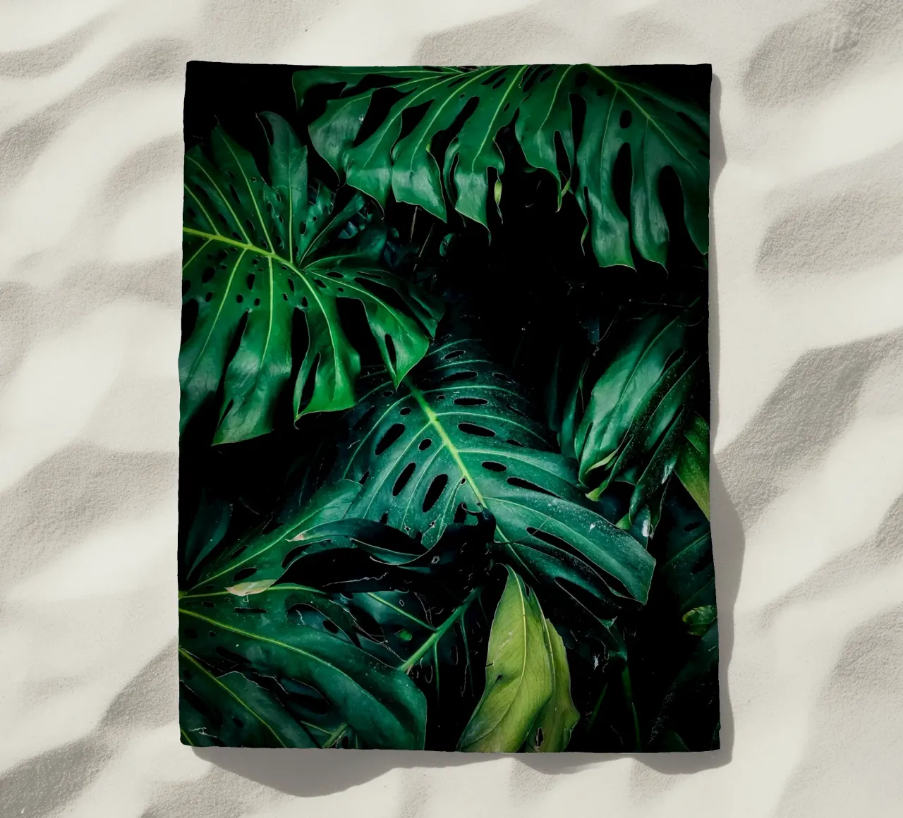 Monstera telo mare da Alina