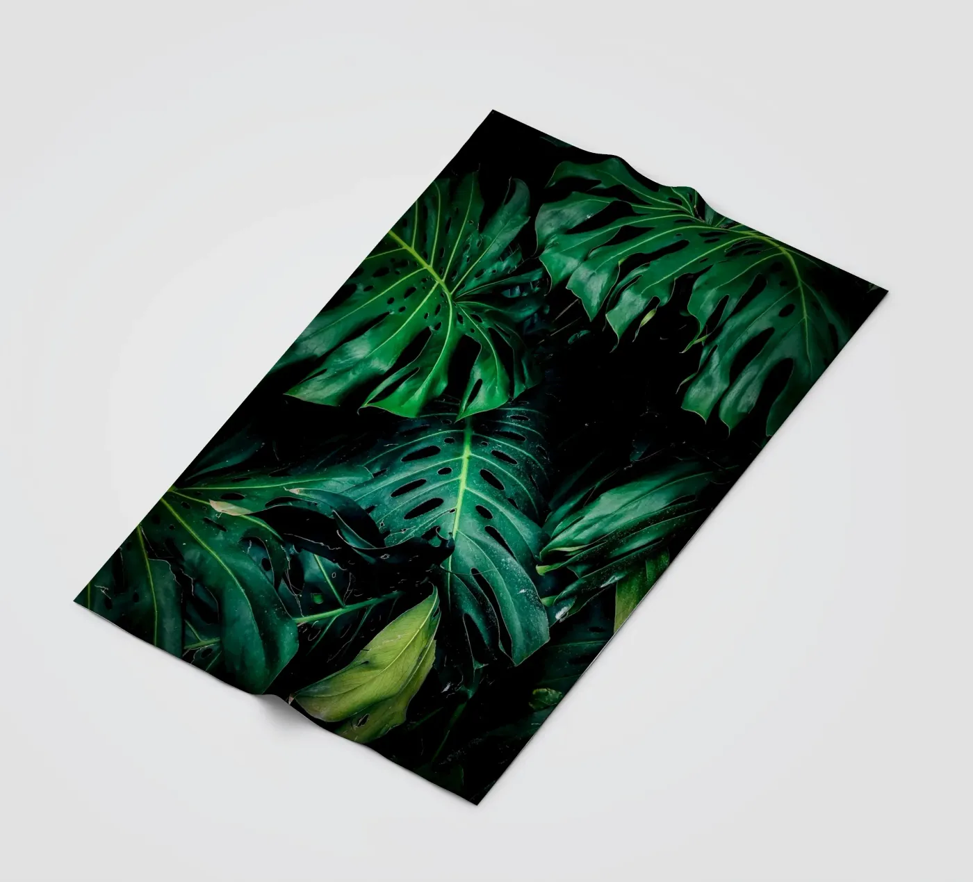 Monstera fleece blanket by Alina