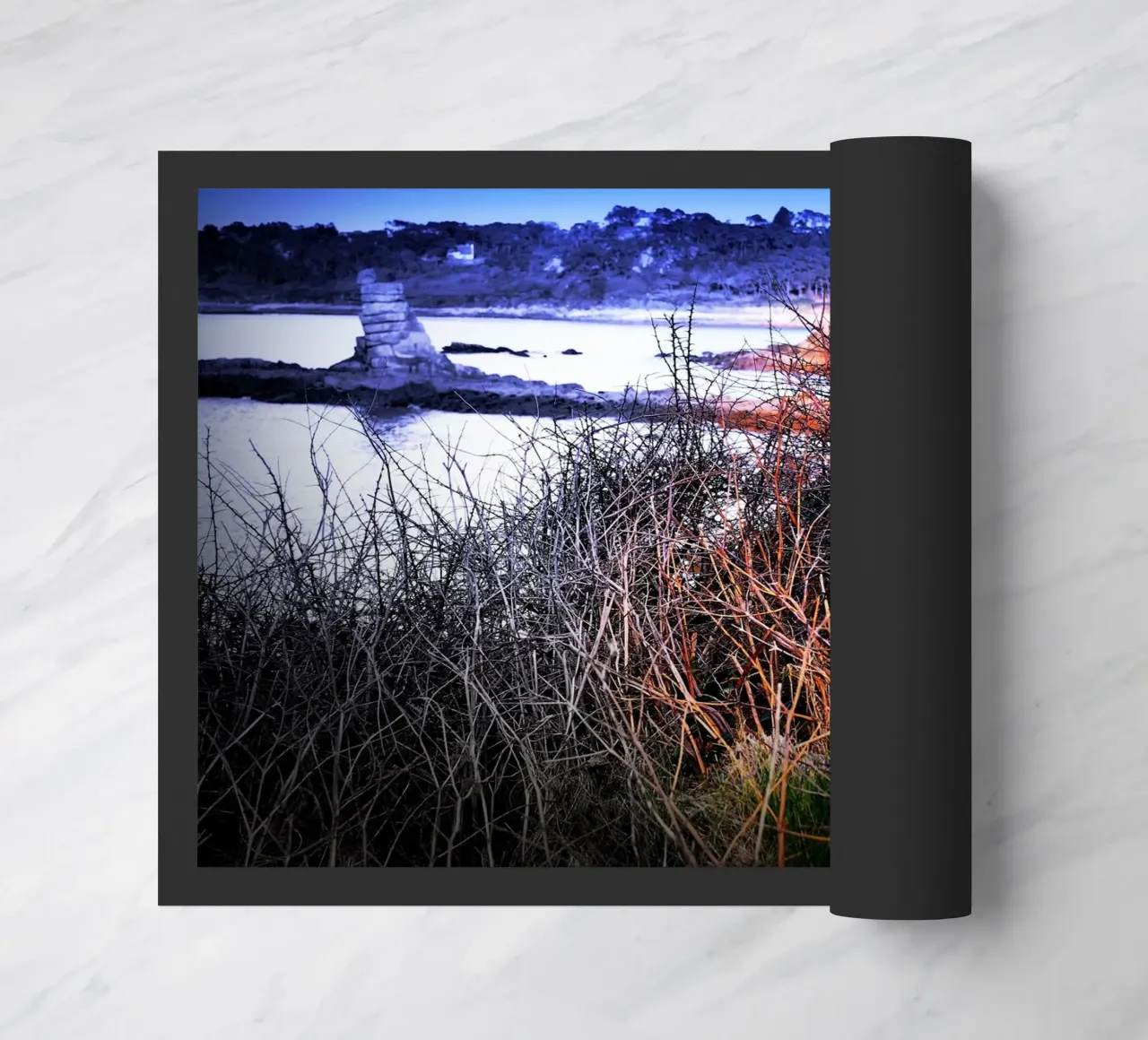 FAA121 zerbino da Thierry vobmann photography