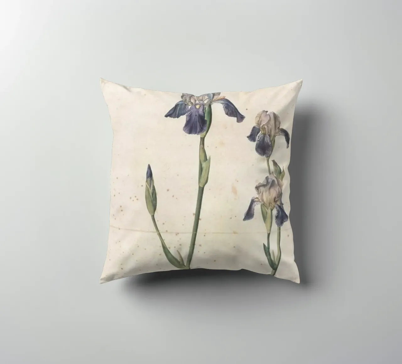Albrecht Dürer - Iris a fiore blu cuscino da ARTOTHEK