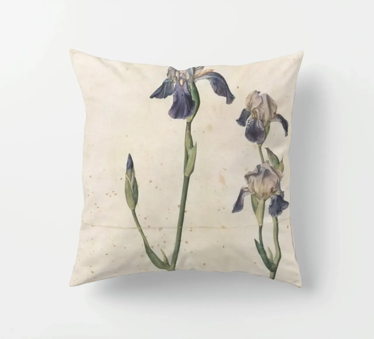 Albrecht Dürer - Iris a fiore blu cuscino da ARTOTHEK