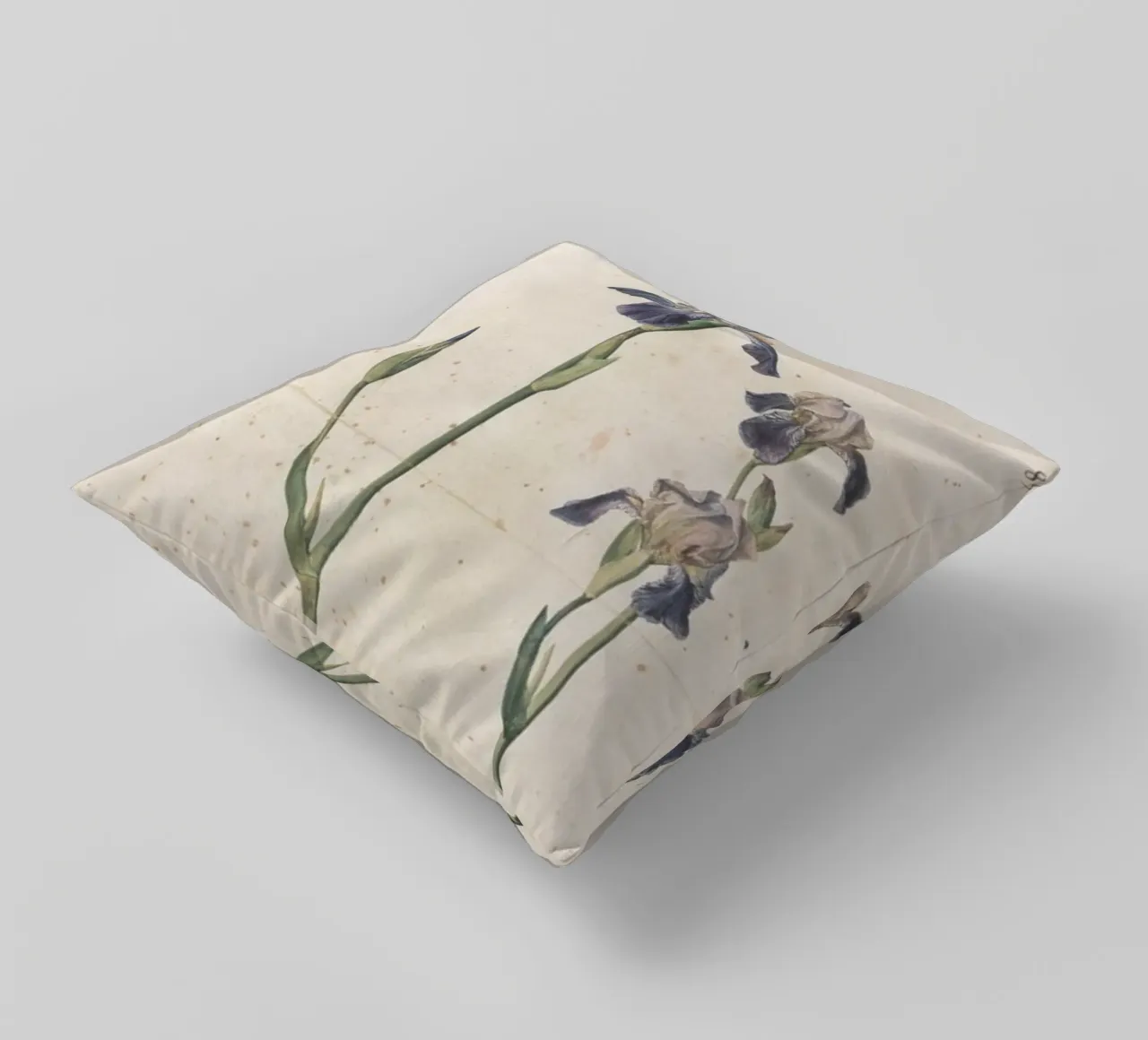 Albrecht Dürer - Iris a fiore blu cuscino da ARTOTHEK
