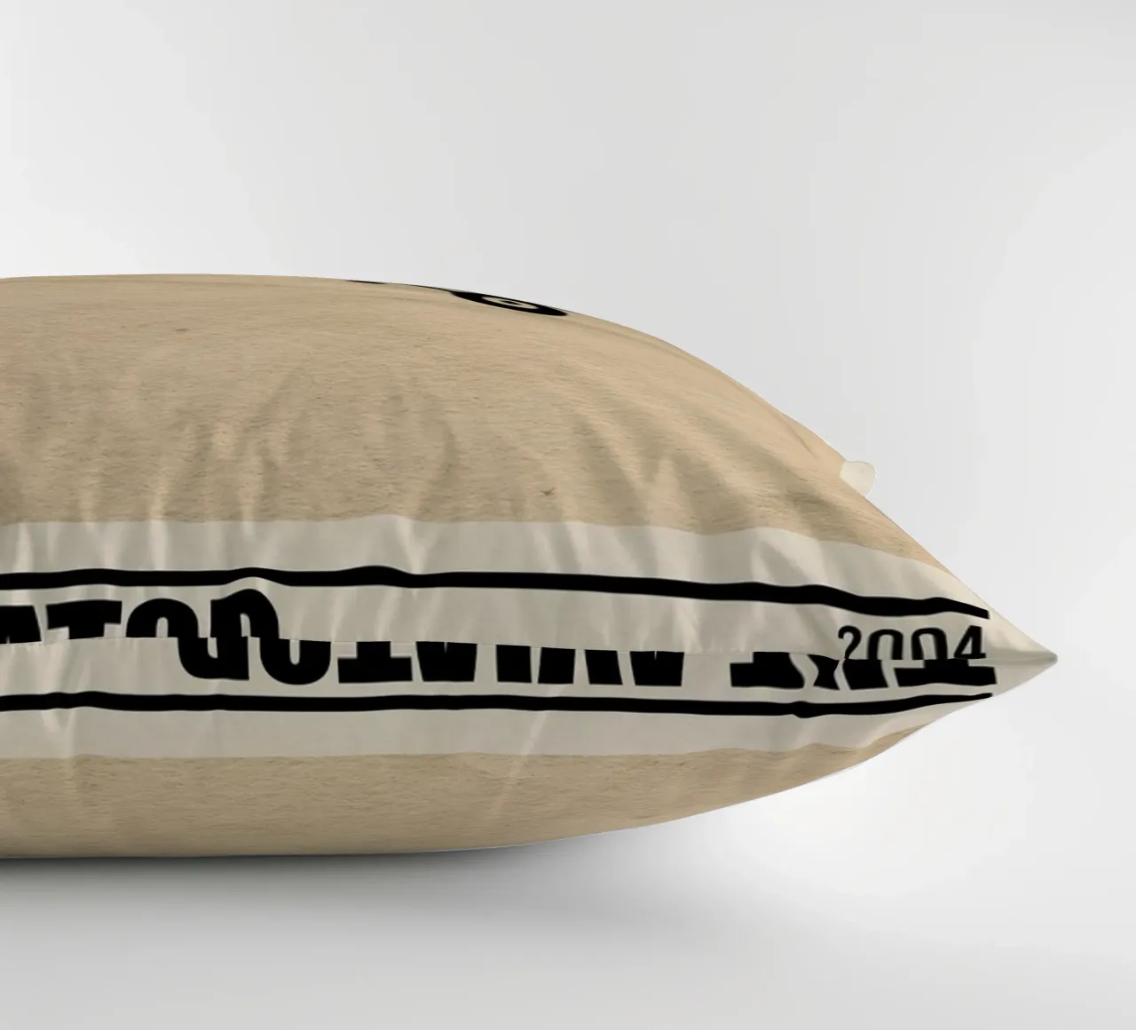 The Aviator cuscino da TheArtstudio