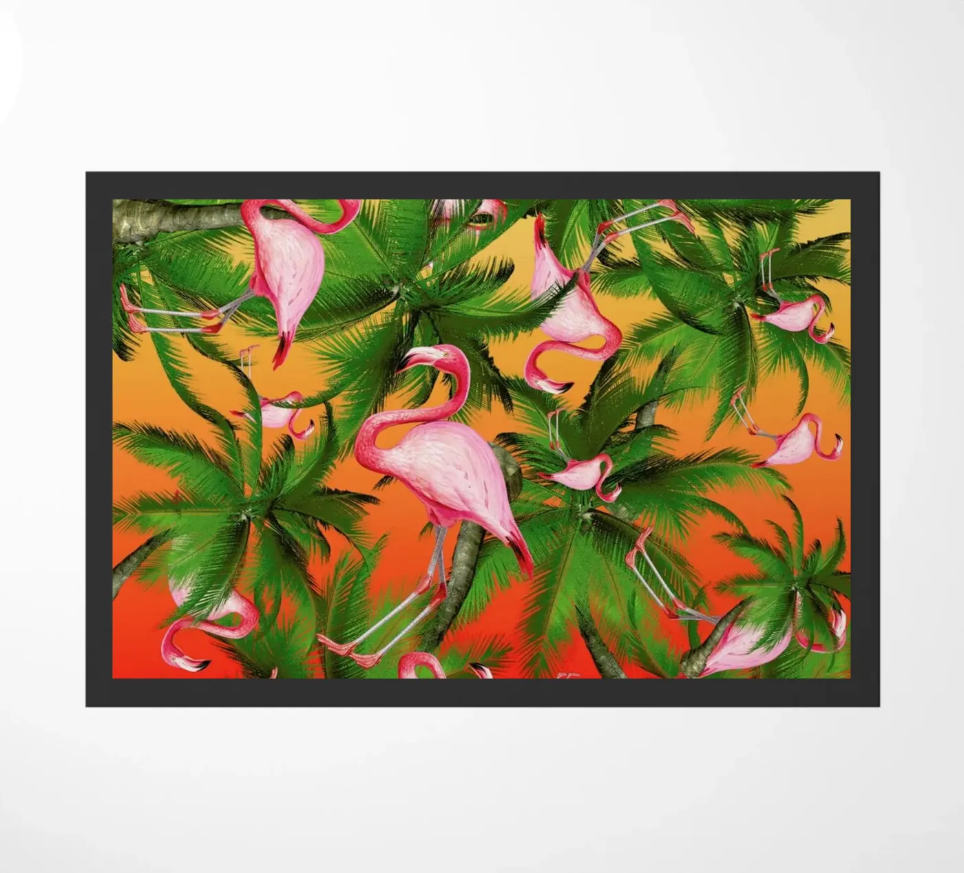 Summertime 2 zerbino da Mark Ashkenazi