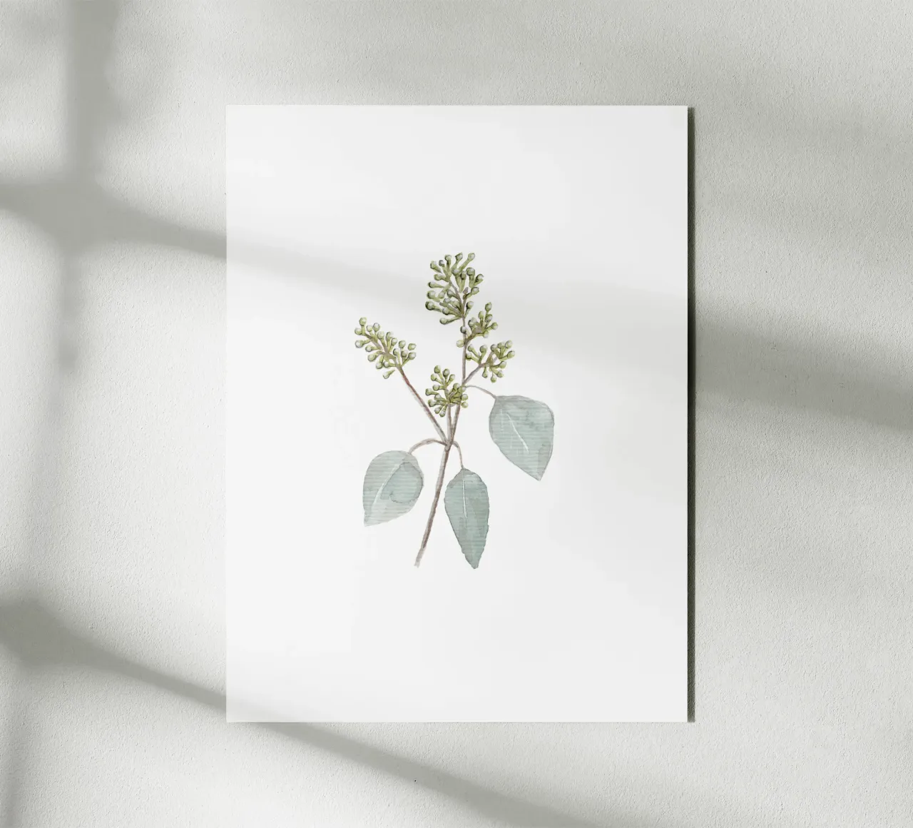 Eucalyptus Watercolor Branch alluminio dibond da anisillustration