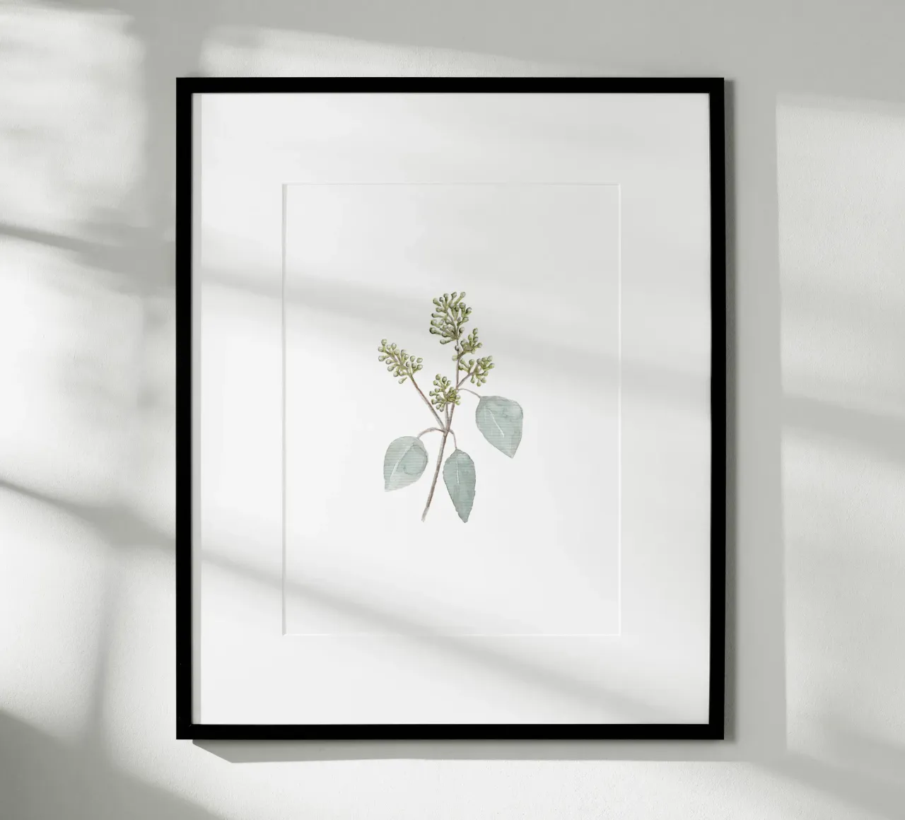 Eucalyptus Watercolor Branch carta hahnemühle da anisillustration