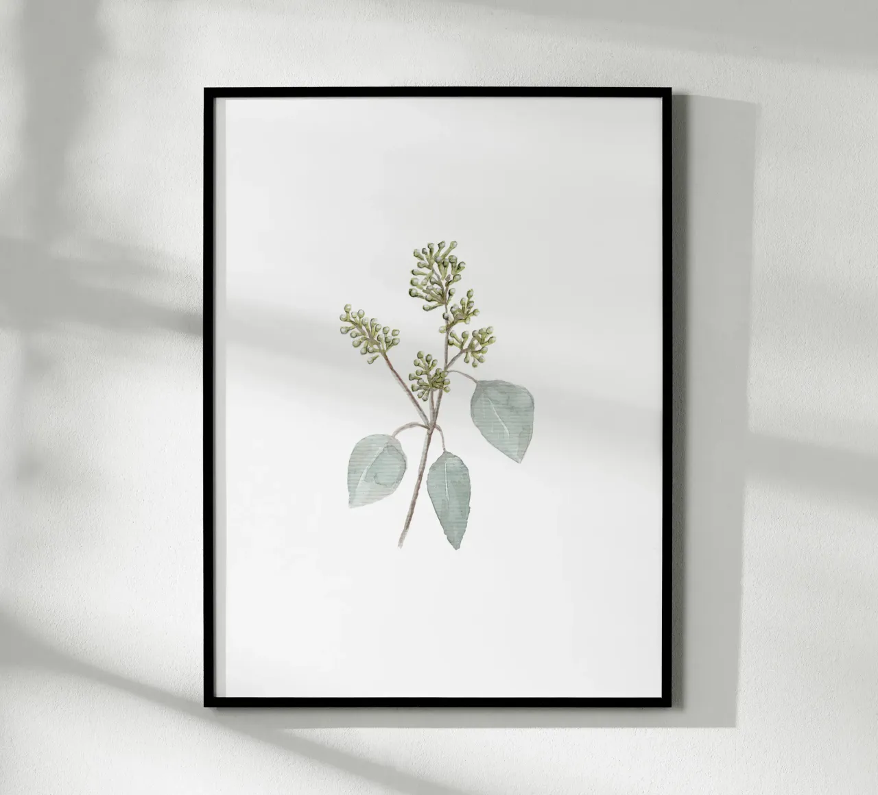 Eucalyptus Watercolor Branch carta hahnemühle da anisillustration