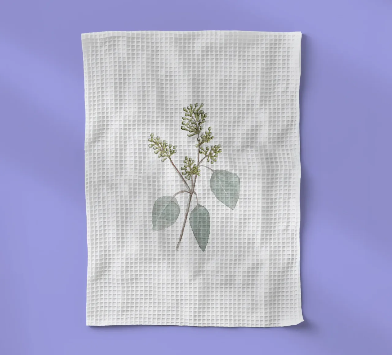 Eucalyptus Watercolor Branch canovaccio da cucina da anisillustration