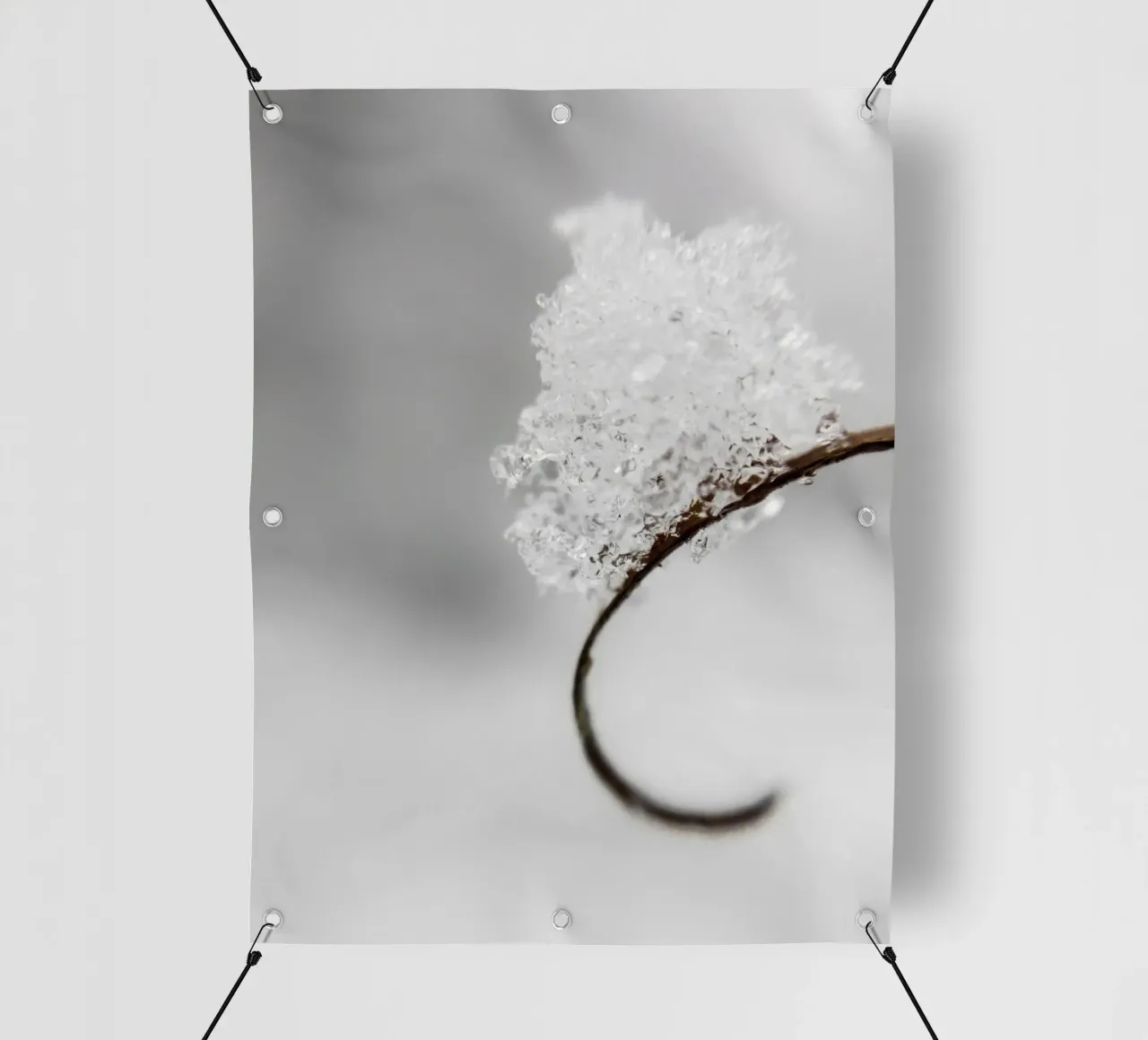 Macro design invernale minimalista telo in pvc da Whole©