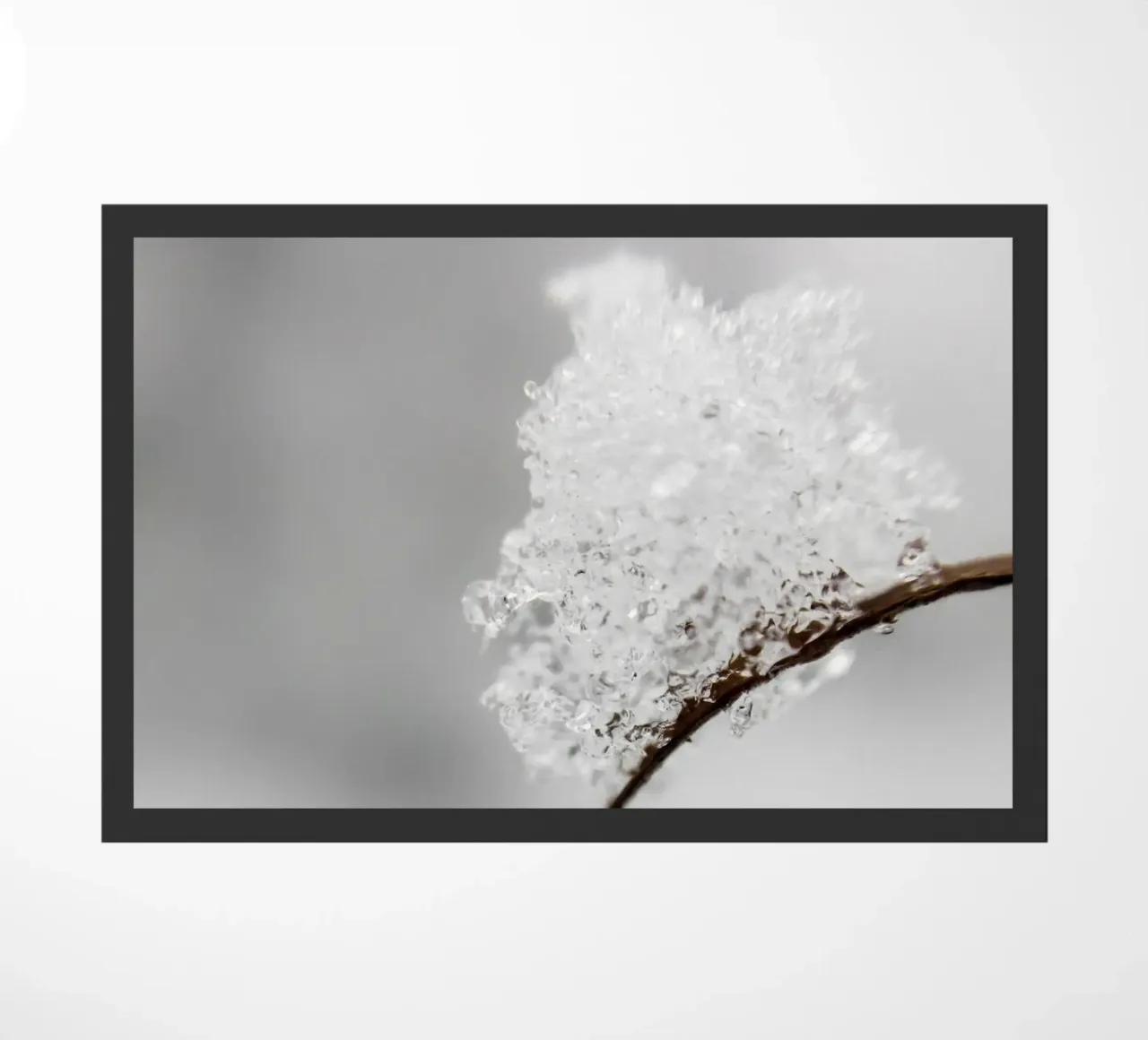 Macro design invernale minimalista zerbino da Whole©