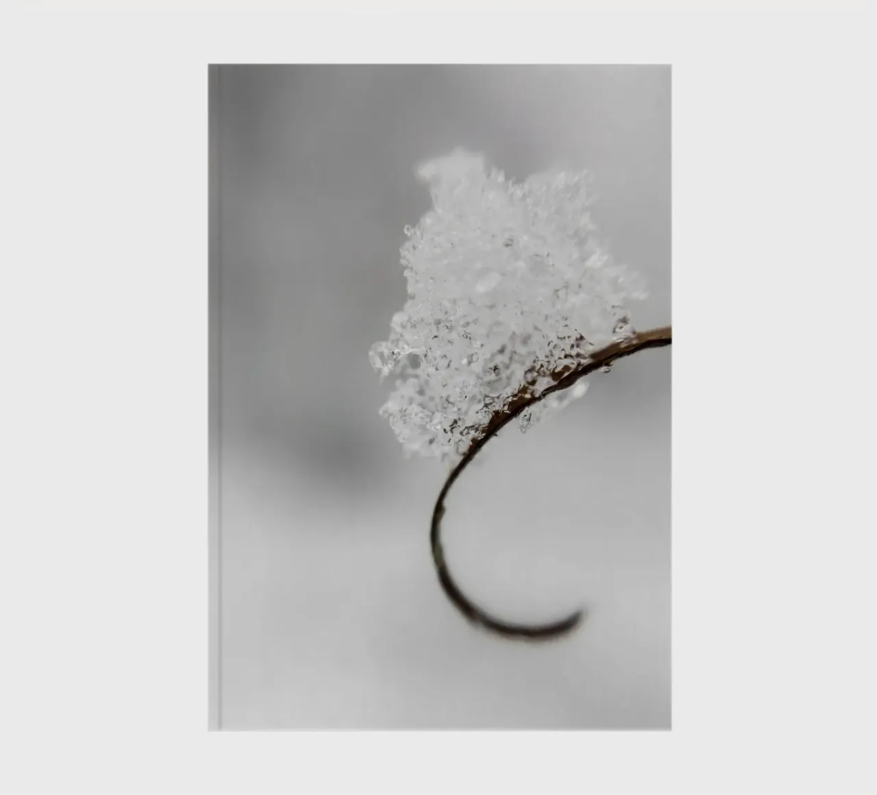 Minimalist winter macro design notebook by Whole©