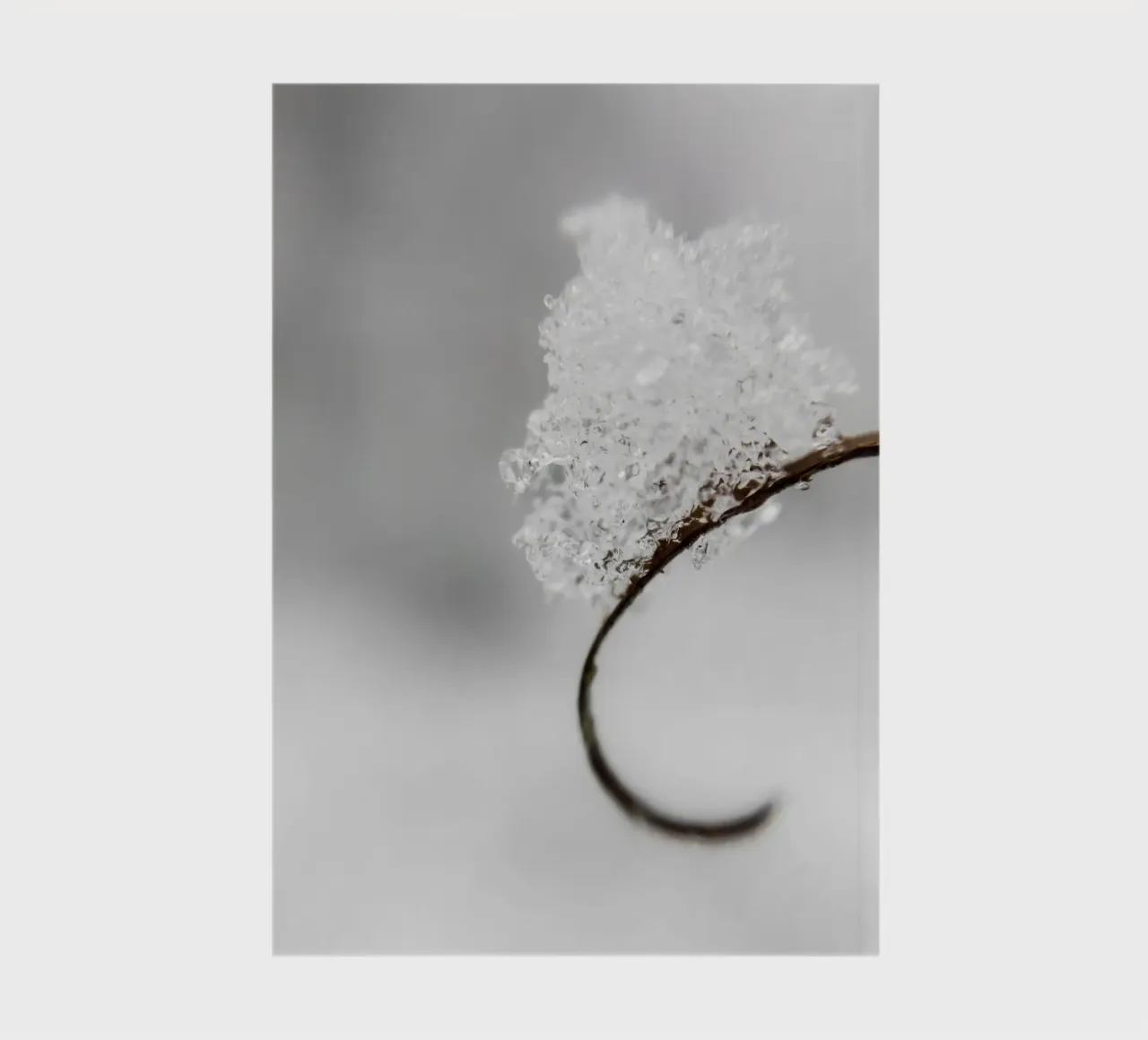Minimalist winter macro design notebook by Whole©