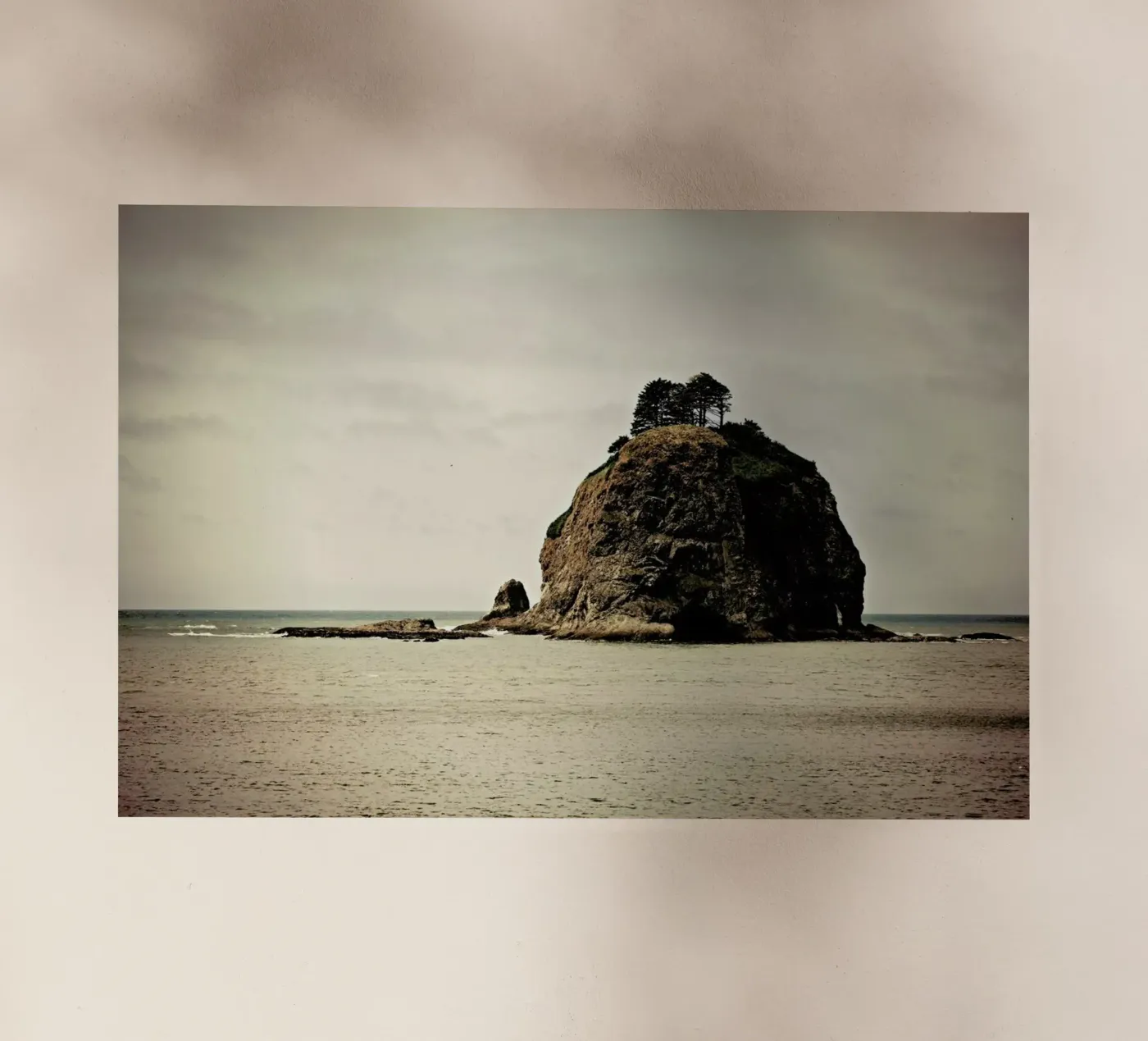 Wind Swept pellicola backlit da Robin Delean