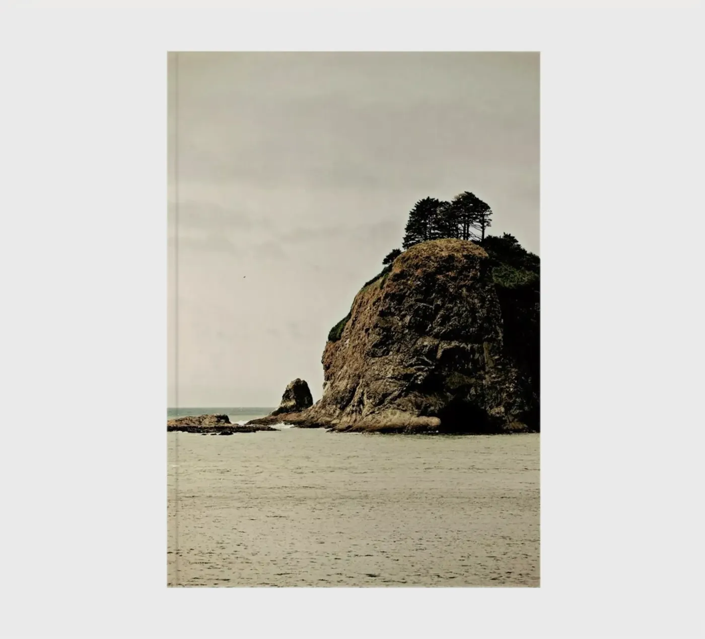 Wind Swept notebook by Robin Delean