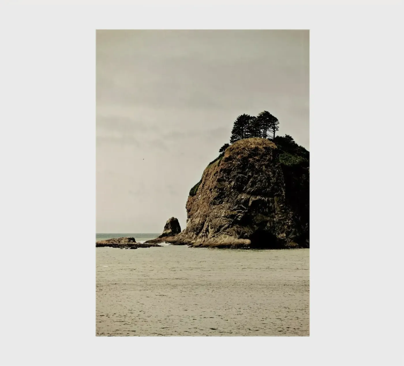Wind Swept notebook by Robin Delean