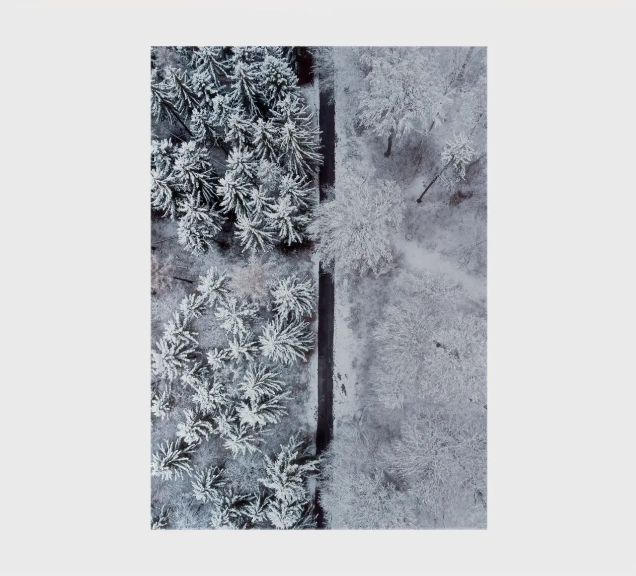Winter forest path - aerial view nature art notebook by Whole©
