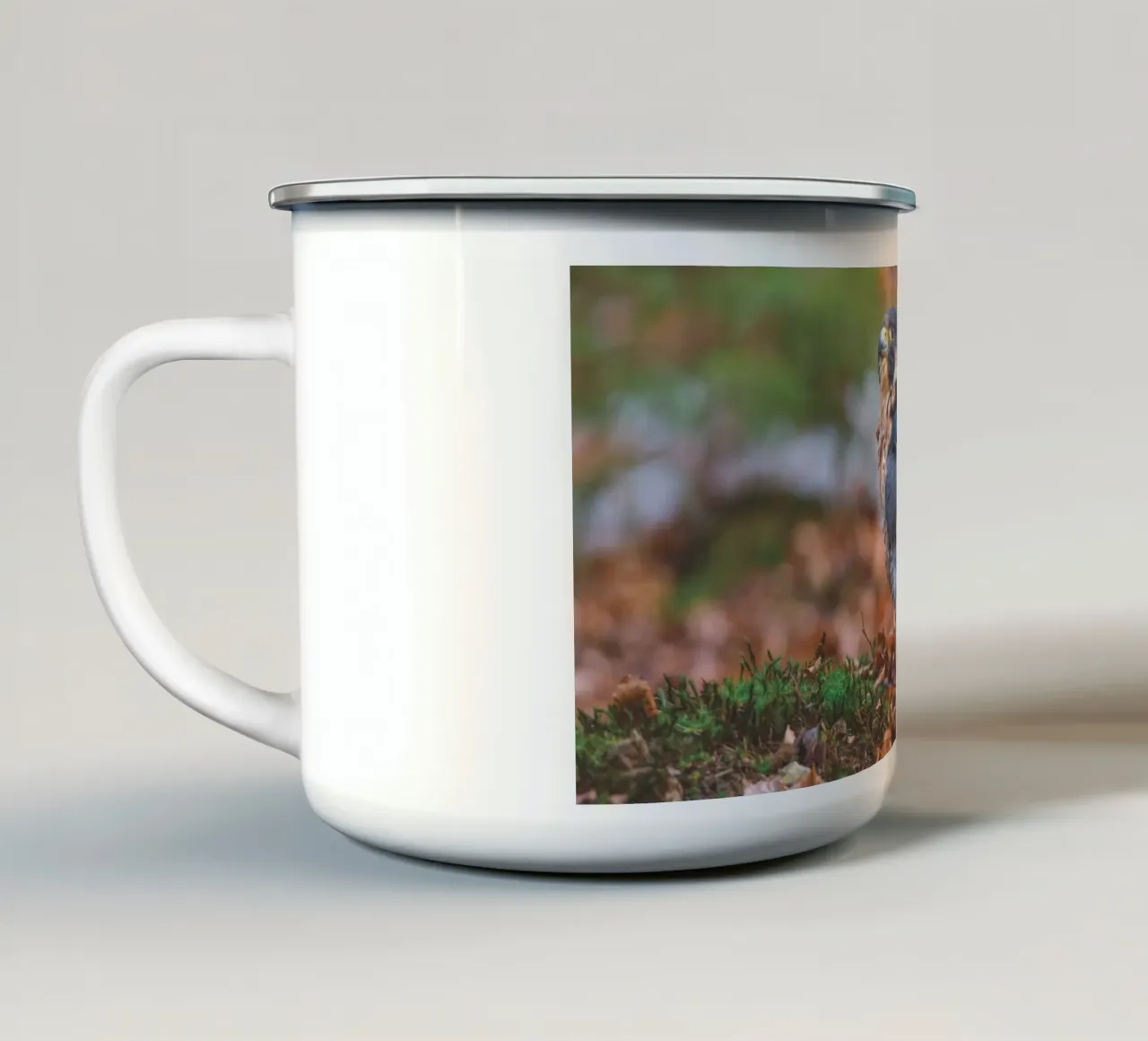 Falco pellegrino tazza in smalto da Dave Hare Photography