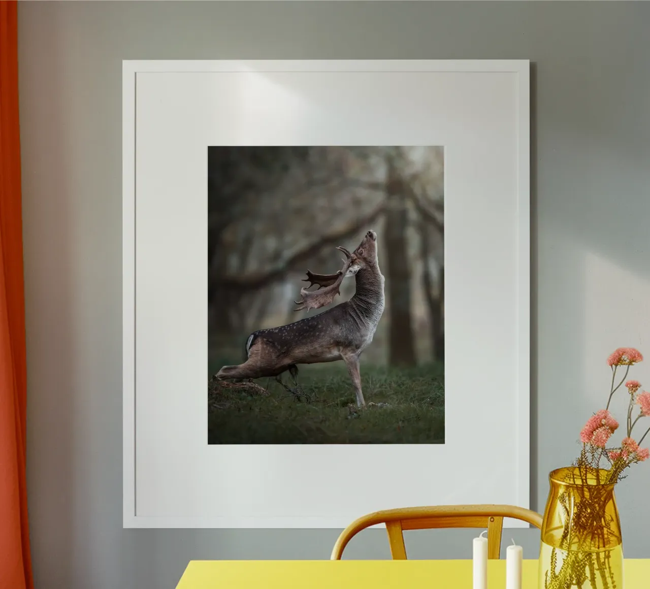 L'étirement du daim poster de Tom's Wildlife