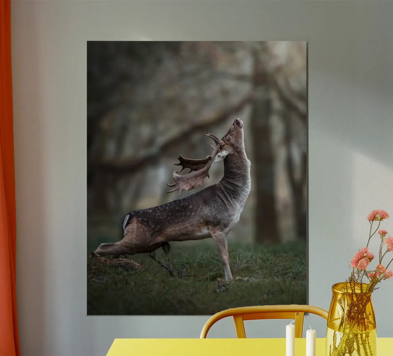 L'étirement du daim poster de Tom's Wildlife
