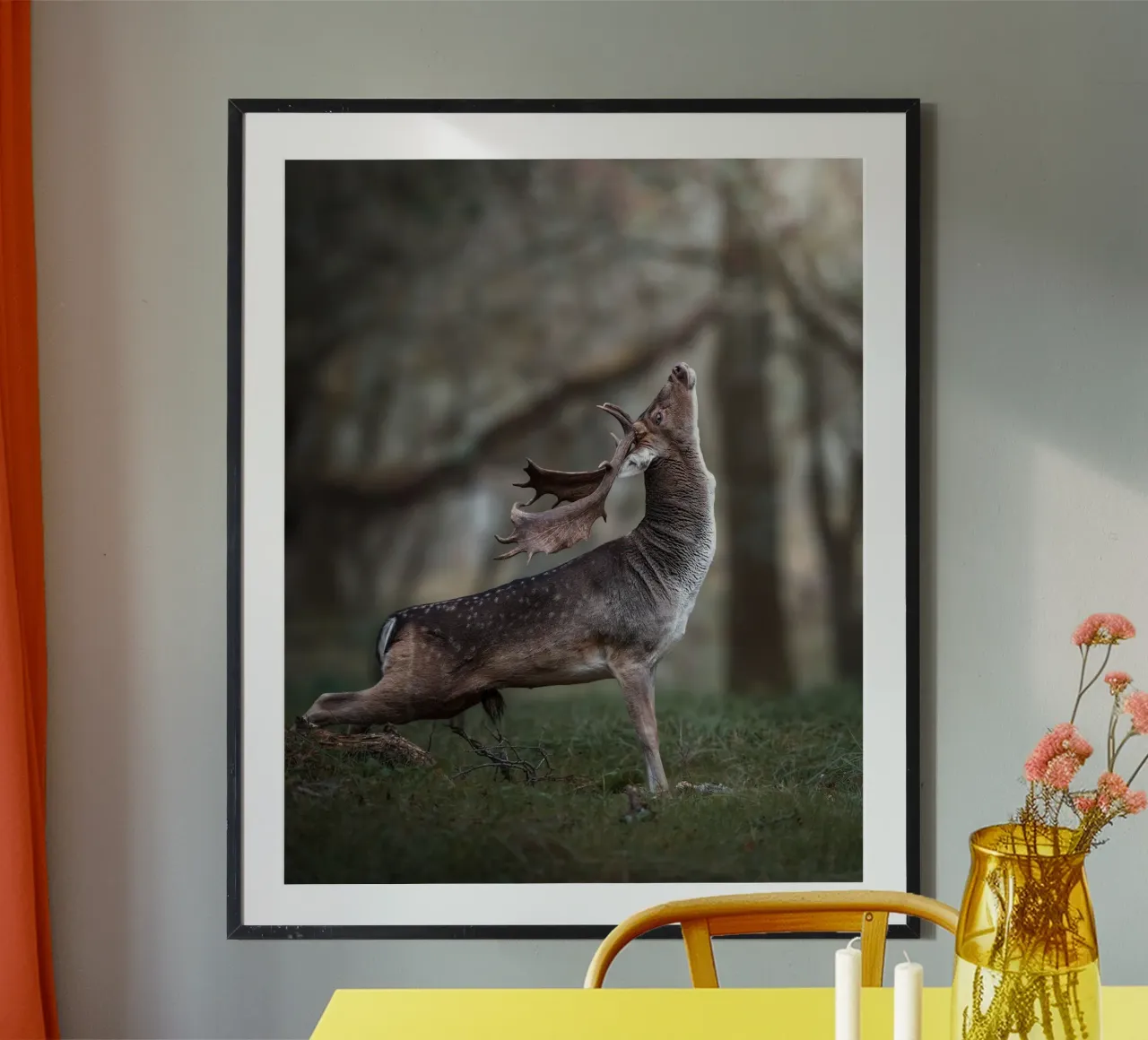 L'étirement du daim poster de Tom's Wildlife